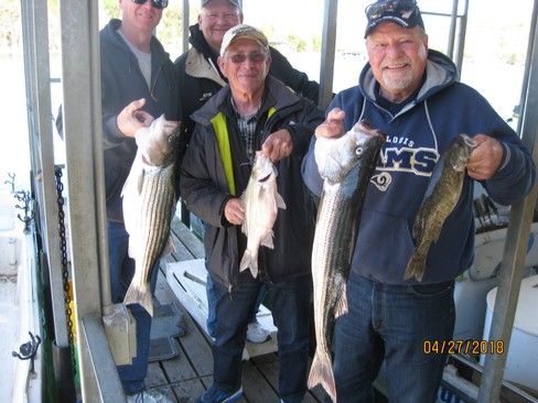 Nice Striped Bass